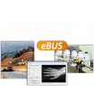 eBUS Receive (USB3) License