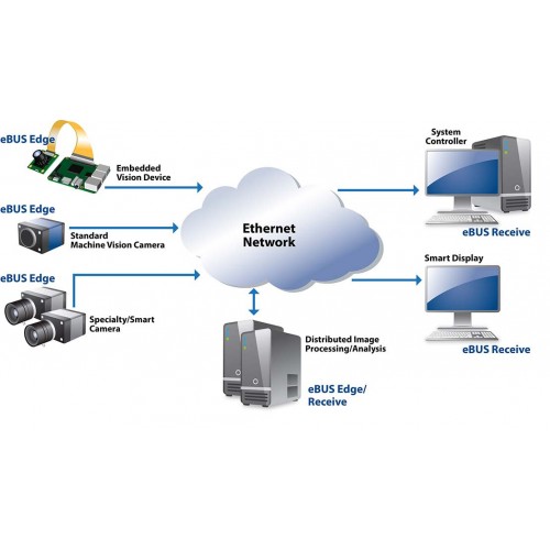 eBUS Receive (GEV) License File (990-1000)