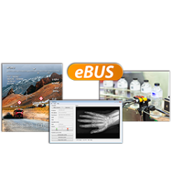 eBUS Receive (USB3) License File (990-1005)