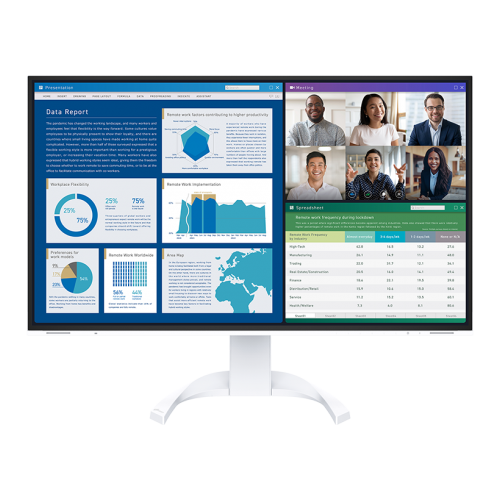 FlexScan® Business Monitors