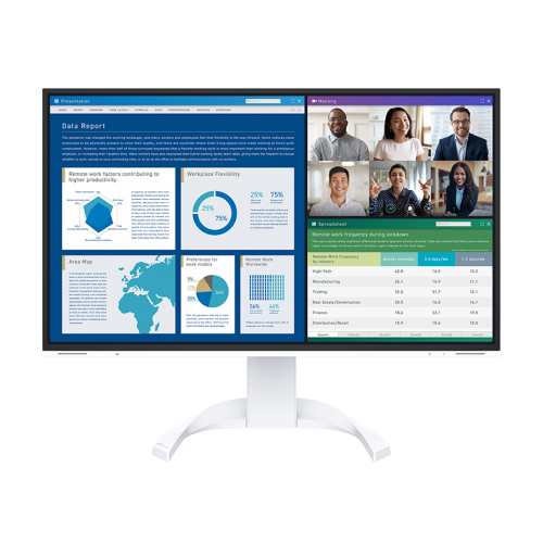 FlexScan® Business Monitors