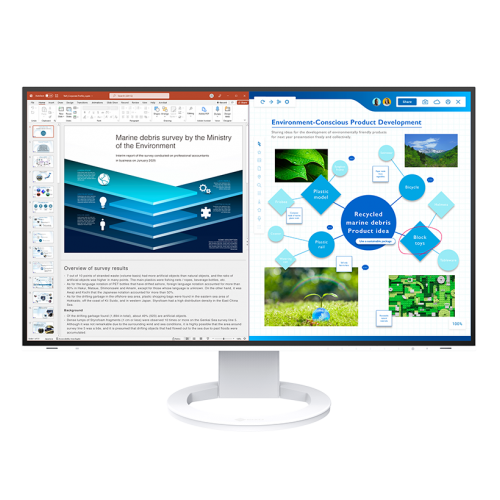 FlexScan® Business Monitors